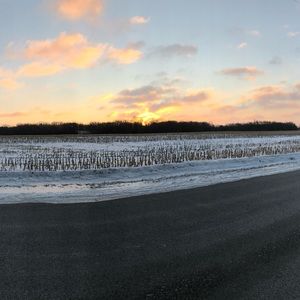 Meet your Posher, Margey